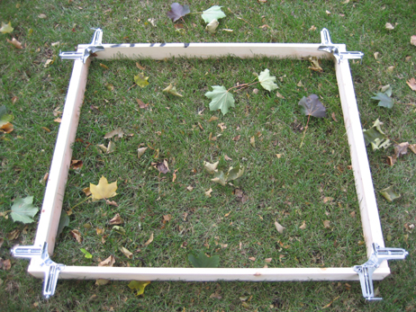 Step 2: Building the Frame